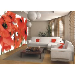 AG design FTS-0479 Papírová fototapeta Wild poppies rozměry 360 x 254 cm