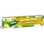 Dabur zubní pasta s mátou a zázvorem pro svěží dech 100 ml – Hledejceny.cz