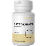 Epigemic Nattokináza 60 kapslí – Hledejceny.cz
