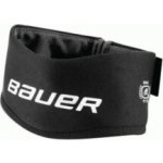 Bauer S25 Bodyguard Neckguard Collar YTH – Zboží Dáma