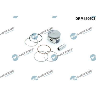 Dr.Motor Automotive DRM450603 – Hledejceny.cz