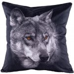 APEX 3D VLK 40 x 40 cm – Zboží Dáma