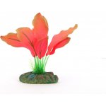 Aqua Nova Echinodorus red 13 cm – Hledejceny.cz