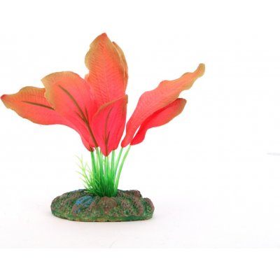 Aqua Nova Echinodorus red 13 cm – Hledejceny.cz