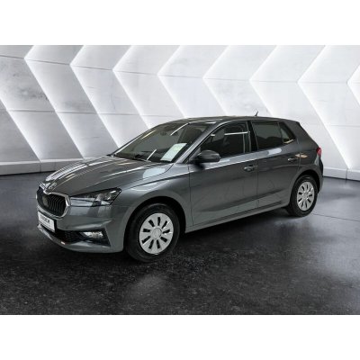 Skoda Fabia 1.0 TSI Selection DSG 85 kW – Hledejceny.cz