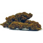 CBDčko CBD Konopný květ CannaSutra THC do 0,2% 1 g – Zboží Dáma