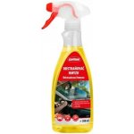 Carlson Odstraňovač hmyzu 500 ml – Hledejceny.cz