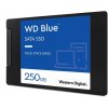 Pevný disk interní WD Blue SA510 250GB, WDS250G3B0A