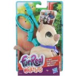 Hasbro Fur Real Friends Walkalots malá kočka – Hledejceny.cz