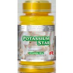 Starlife Potassium Star 60 tablet – Hledejceny.cz