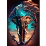 Norimpex Africký klenot 30 × 40 cm – Hledejceny.cz