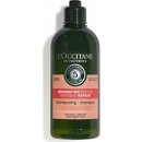 LOccitane EnProvence Repairing Shampoo 75 ml