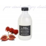 Davines Oi šampon pro mimořádný lesk a jemnost vlasů 280 ml – Sleviste.cz
