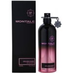 Montale Golden Sand parfémovaná voda unisex 100 ml – Hledejceny.cz