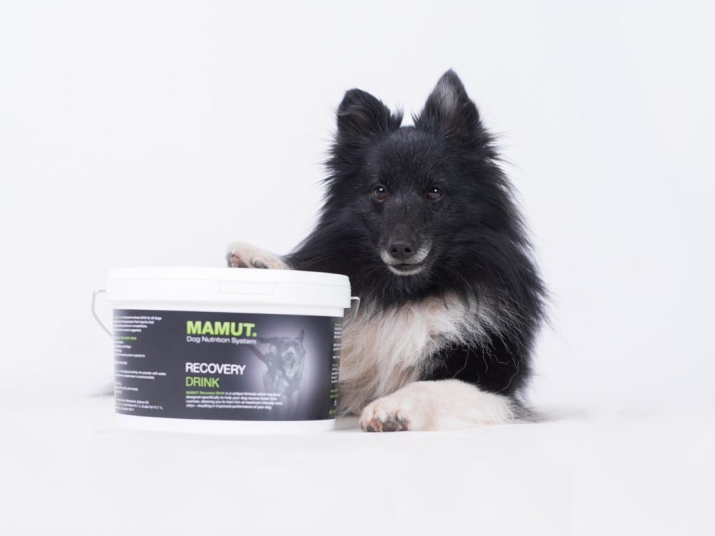 Mamut Recovery Drink 800 g