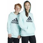 adidas U Bl Hoodie IJ6278 zelená – Hledejceny.cz