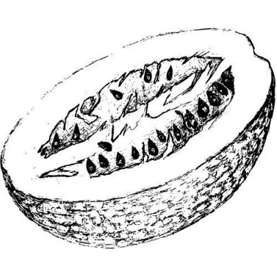 Alteya Dýňový olej 100% Bio 50 ml – Sleviste.cz