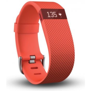 Fitbit Surge L