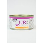 Purina VD Feline UR Struvite Oxalate Urinary Turkey 195 g – Hledejceny.cz