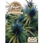 Fair Seeds Outdoor MIX semena neobsahují THC 5 ks – Sleviste.cz