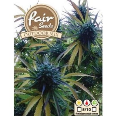 Fair Seeds Outdoor MIX semena neobsahují THC 5 ks – Sleviste.cz