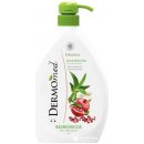 Dermomed Aloe & Pomegranate sprchový gel 1 l