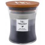 WoodWick Trilogy Warm Woods 275 g – Zbozi.Blesk.cz