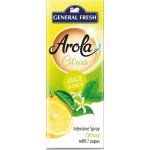 GF náplň do šišky citron 40 ml – Hledejceny.cz