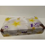 Lilien papírové kapesníčky 2-vrstvé 100 ks – Zboží Dáma