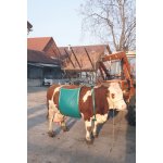 Zvedač krav Daisy Lifter – Hledejceny.cz