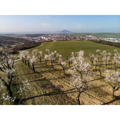 Pobytový balíček hotelu Wine Wellness Hotel Amande: Jsem na dovolené – Zbozi.Blesk.cz