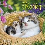 Kočky nástěnný 33 x 33 cm 2026 – Zboží Dáma