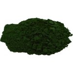 Salvia Paradise Chlorella Japanese dezintegrovaná HQ 250 g – Hledejceny.cz