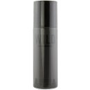 Dsquared2 Wild Men deospray 100 ml