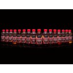 Sportcarp Booster Plum Jam 250 ml – Zboží Dáma