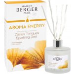 Maison Berger Paris difuzér Aroma Energy 180 ml – Zbozi.Blesk.cz