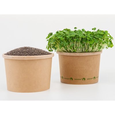 Tiny Greens Chia - BIO semínka na klíčení a microgreens Množství: 100g – Zbozi.Blesk.cz