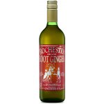 Rochester Organic Root Ginger 0,725 l – Zboží Dáma