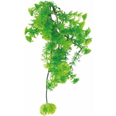 Lucky Reptile Horn Fern 40 cm – Zboží Mobilmania