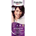 Pallete Intensive Color Creme Intenzivní fialová V5 – Zboží Dáma