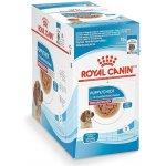Royal Canin Puppy Medium 10 x 140 g – Zboží Mobilmania