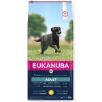 Eukanuba Adult Large Breed Chicken 15 kg – Hledejceny.cz