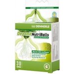 Dennerle Deponit NutriBalls 30 ks – Hledejceny.cz
