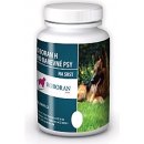 Vitamíny pro psa Univit Roboran H pro barevné psy 250 g