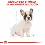 Royal Canin French Bulldog Puppy 3 kg – Hledejceny.cz