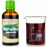Bylinné kapky Pavlovy bylinné kapky Meruňka japonská TCM tinktura 50 ml – Hledejceny.cz