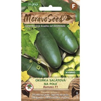Moravo Seed Okurka salátová na pole Ramzes