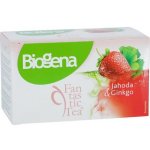 Biogena Čaj Fantastic Tea Jahoda Ginkgo 20 x 2,5 g – Hledejceny.cz