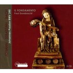 St John Passion BWV245 CD – Hledejceny.cz