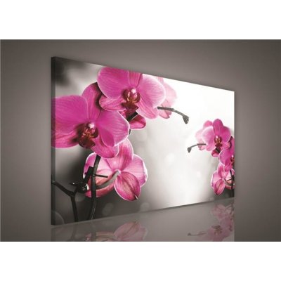 ForWall Obraz na plátně Růžová orchidej 100 x 75 cm – Hledejceny.cz